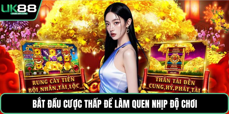 Bắt đầu cược thấp để làm quen nhịp độ chơi