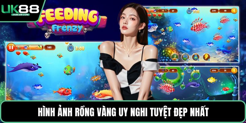Hình ảnh rồng vàng uy nghi tuyệt đẹp nhất