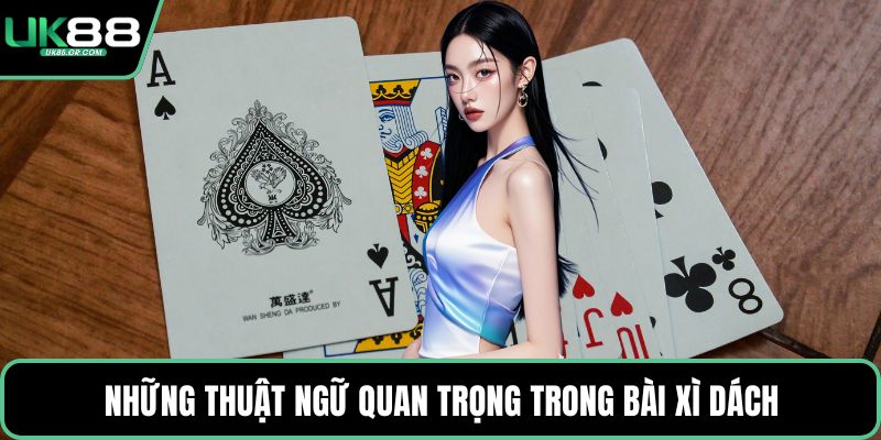 Những thuật ngữ quan trọng trong bài xì dách
